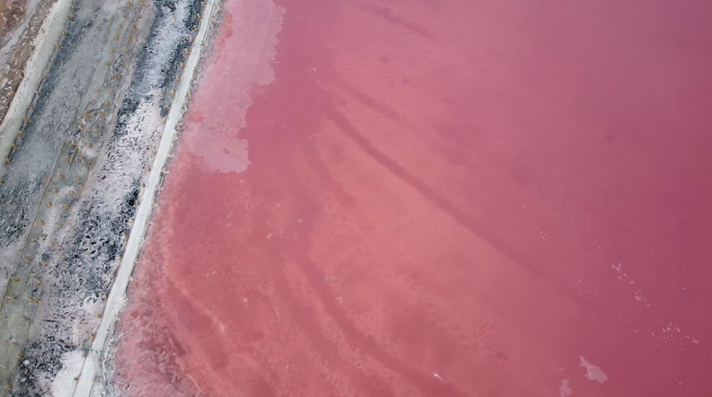 ์๋ ์ธ๋์คํธ๋ฆฌ์