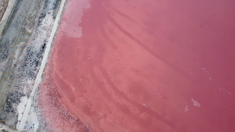 The shore of the salt pink lake. Deposits of salt along the shore.