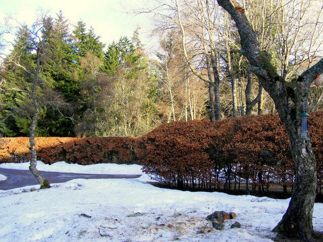 The Grounds at Kirkton Lodge