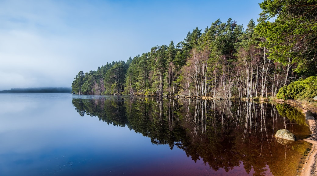 A calm lake with dense forest on the right and a clear sky.