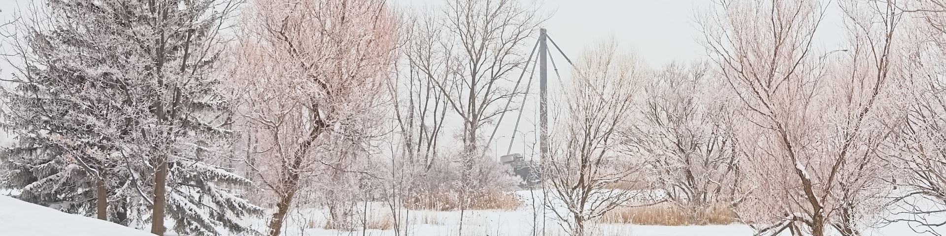 A snowy landscape with bare trees and a large crane structure.