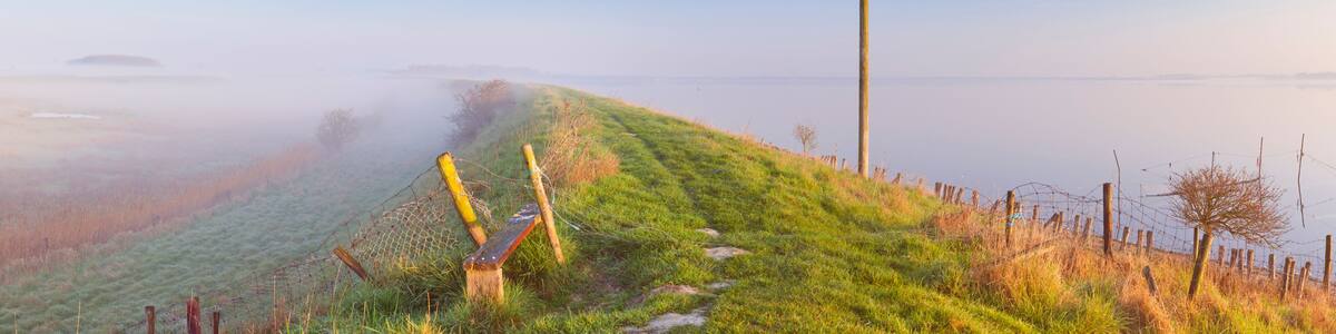 Typical Dutch landscape in Zeeland on a foggy morning