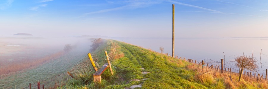 Typical Dutch landscape in Zeeland on a foggy morning