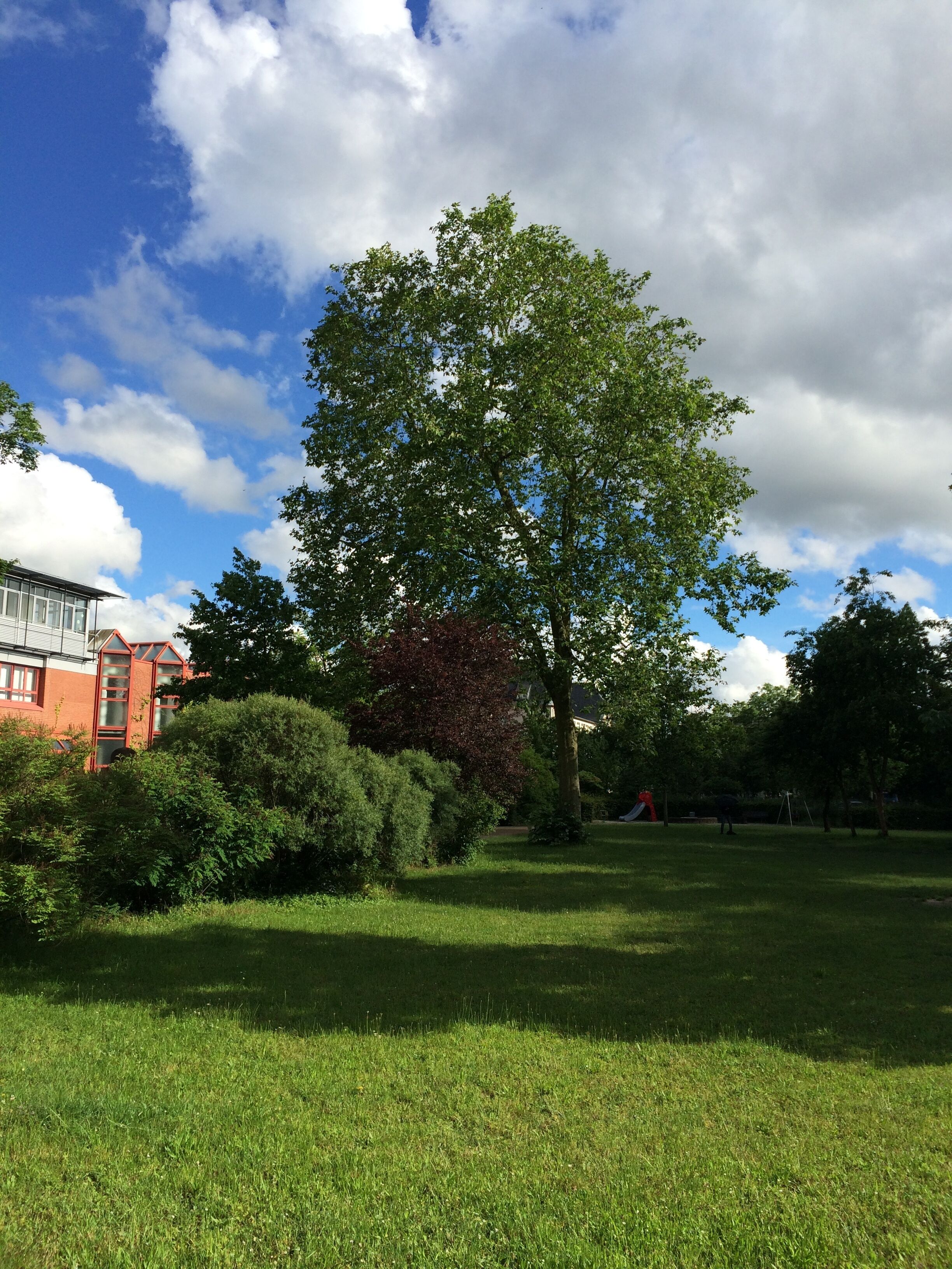 Der Ingelheimer Garten ist eine dreieckige Parkanlage in Darmstadt, die nach der gleichnamigen Stadt benannt ist.