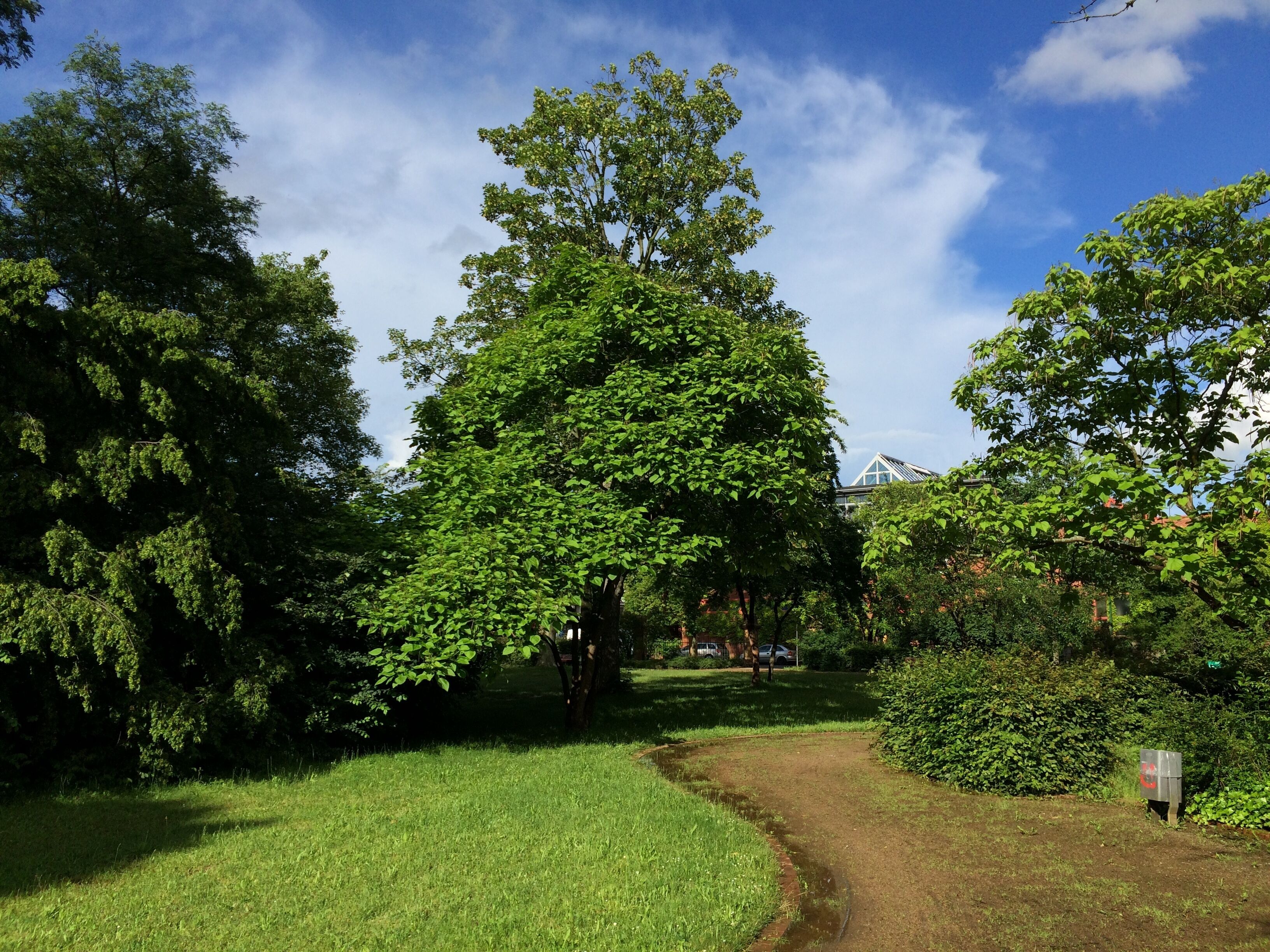 Der Ingelheimer Garten ist eine dreieckige Parkanlage in Darmstadt, die nach der gleichnamigen Stadt benannt ist.