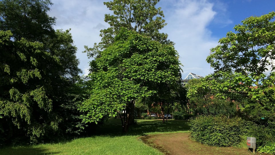 Der Ingelheimer Garten ist eine dreieckige Parkanlage in Darmstadt, die nach der gleichnamigen Stadt benannt ist.
