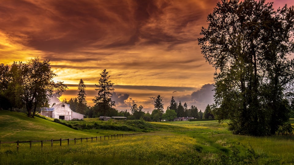Sunset over a Farm in Fort Langley under a great yellow and threatening sky