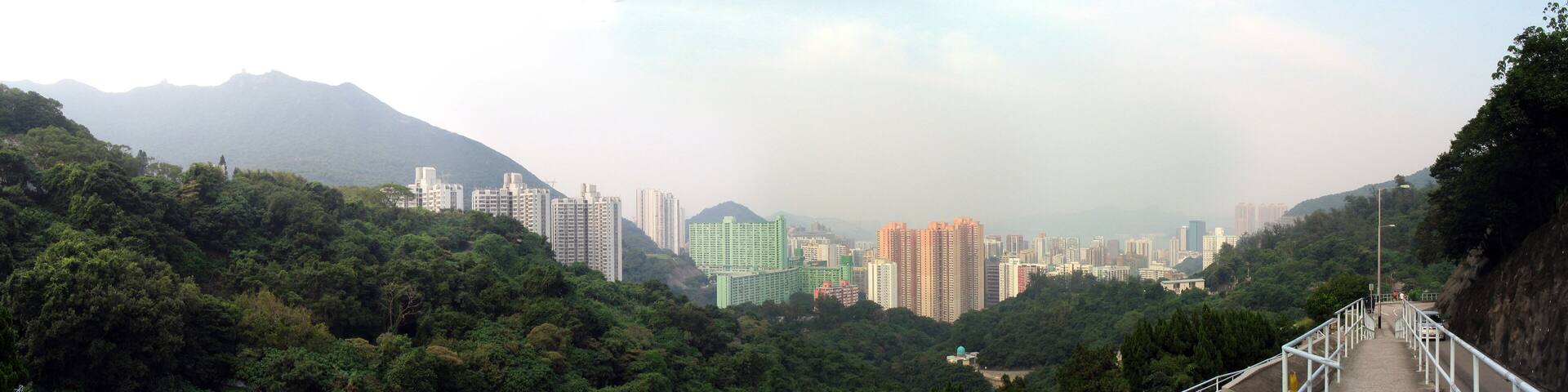 A cityscape with high-rise buildings and a mountain in the background.