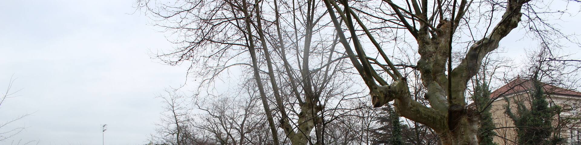 Le parc Alexis-Jordan Ă Villeurbanne.