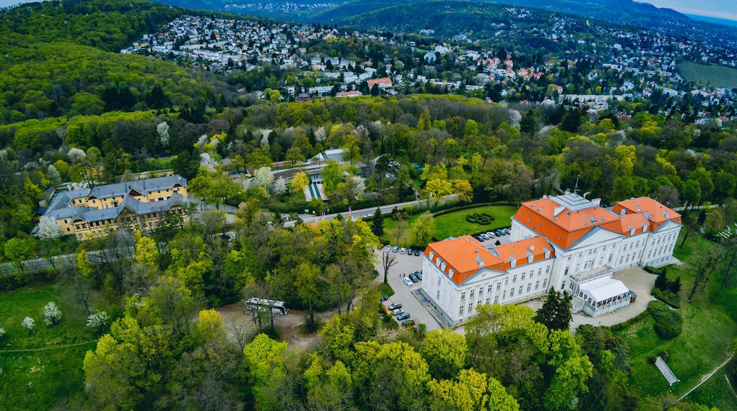 Neulerchenfeld