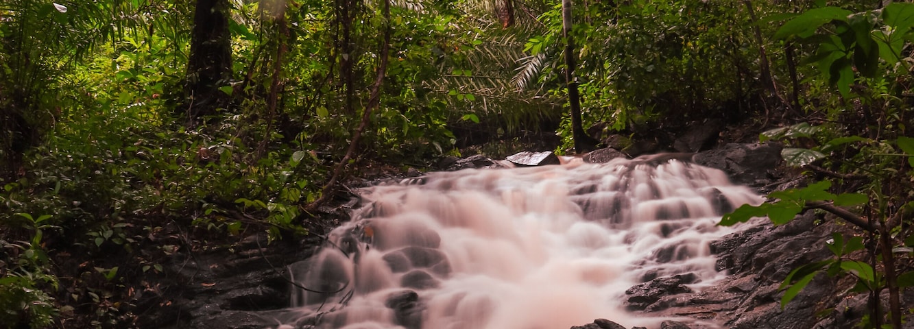 Reserva Ecológica da Sapiranga, Praia do Forte, Mata de São João, Bahia, Brazil