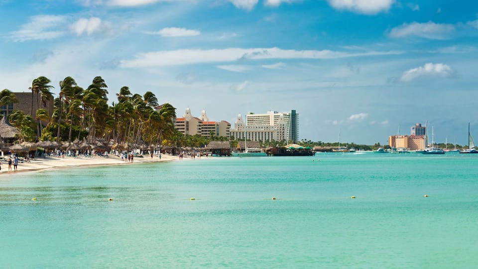 Beautiful Beach in Aruba