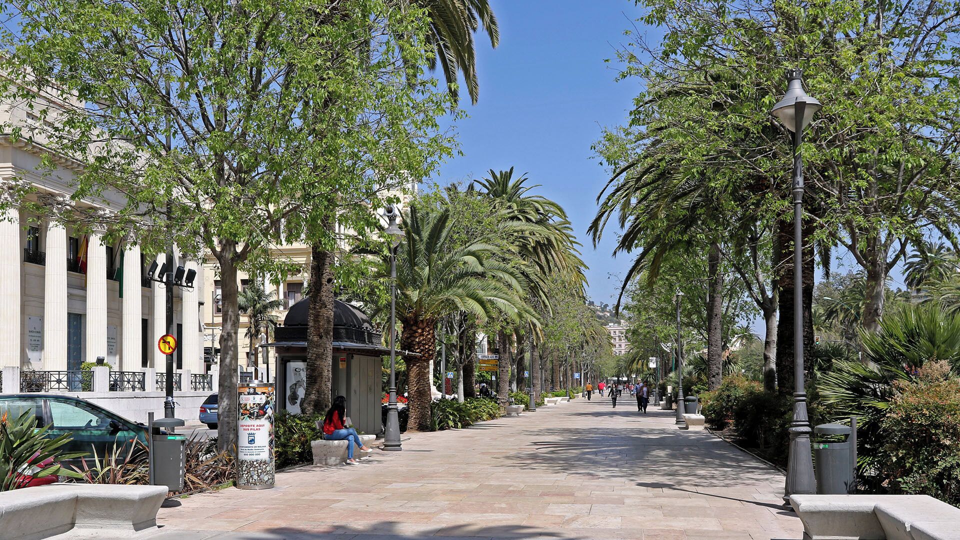 A tree-lined street with palm trees, a lamppost, and a building with columns.