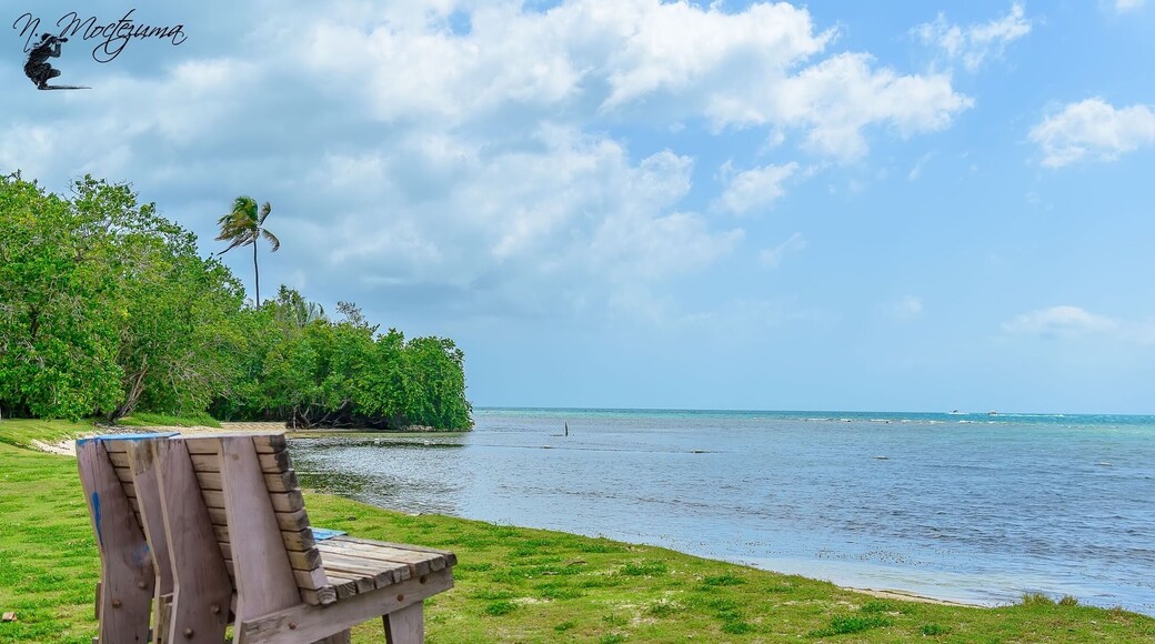 One amazing discovery @ Villa La Mela Cabo Rojo, P.R.