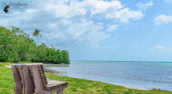 One amazing discovery @ Villa La Mela Cabo Rojo, P.R.