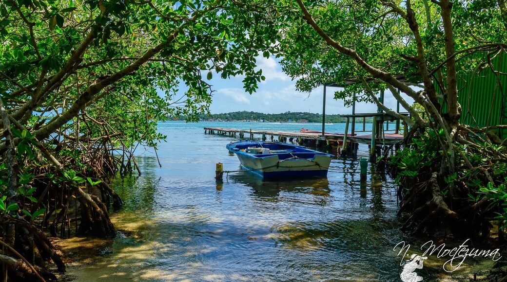 One hiden spot discovered @ La Mela Cabo Rojo, P.R.