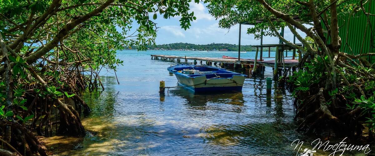 One hiden spot discovered @ La Mela Cabo Rojo, P.R.