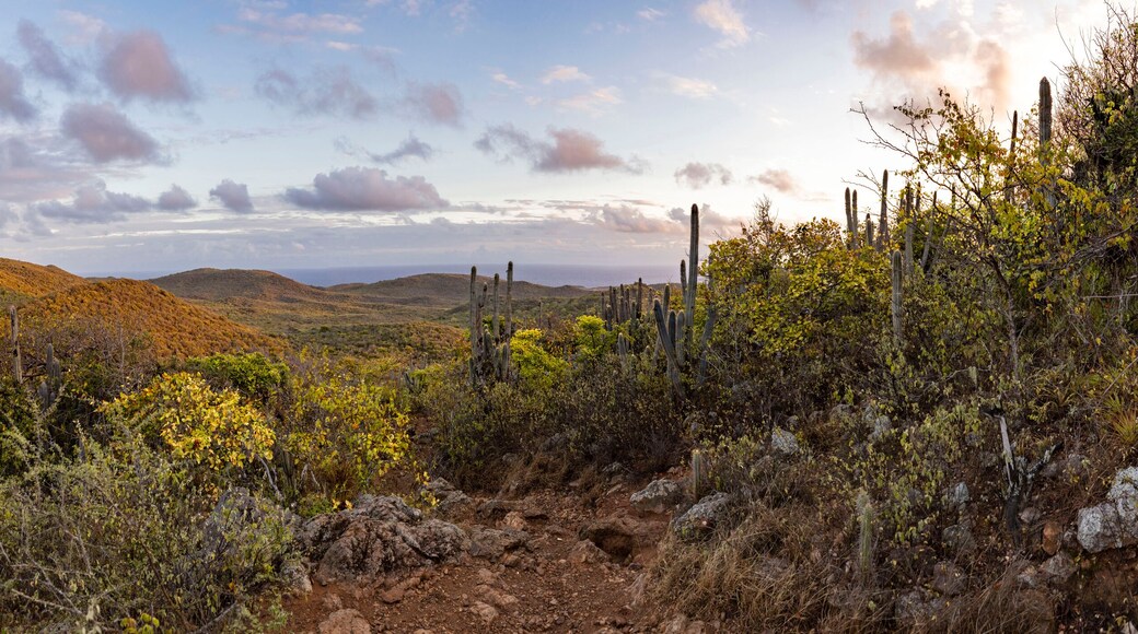 Sunrise over Christoffel National Park during the hike up to the top of Christoffel mountain on the Caribbean island Curacao - panorama
