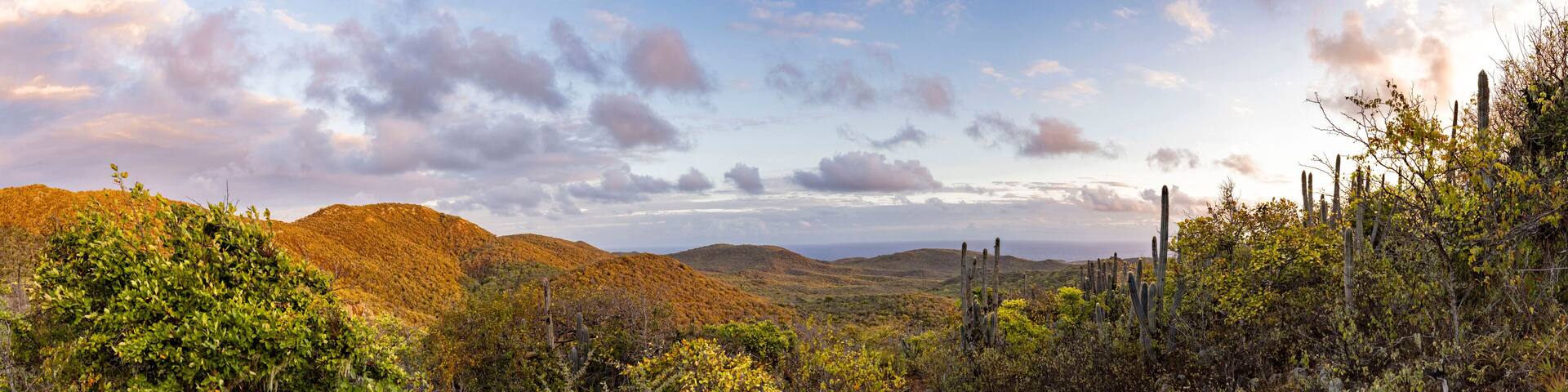 Sunrise over Christoffel National Park during the hike up to the top of Christoffel mountain on the Caribbean island Curacao - panorama