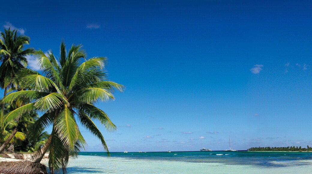 ๋ก์ค ์ฝํคํ ์ค