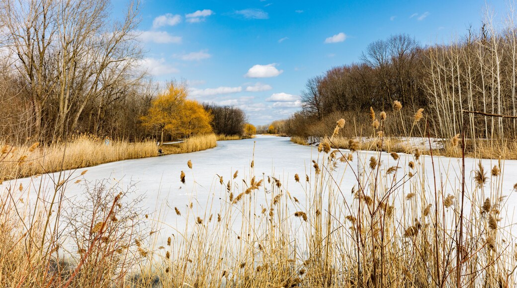 ์๊ทธํ๋ฝ