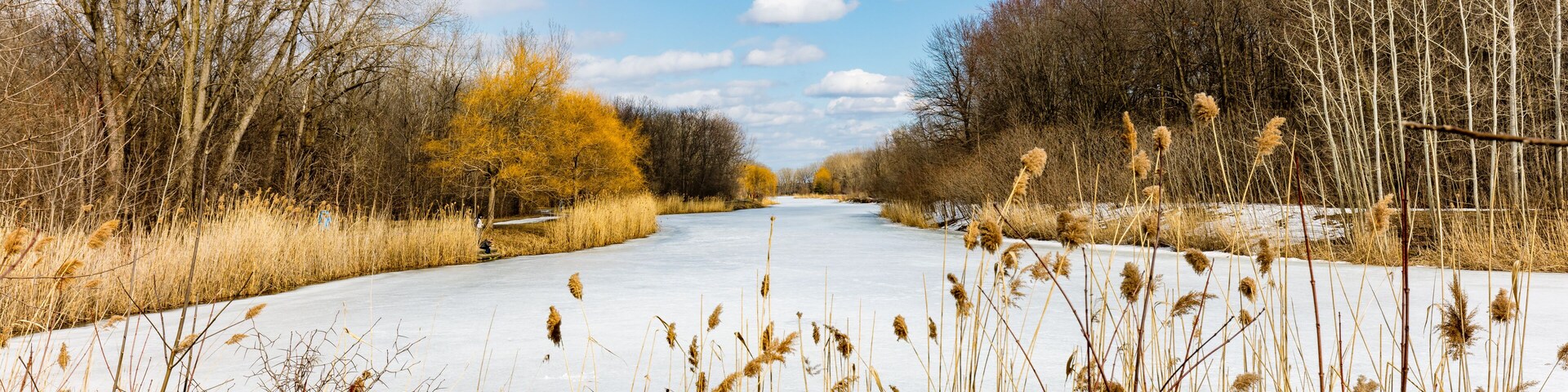 Winter scene in Angrignon Park, Montreal Canada.
