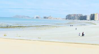 Paradise in the desert