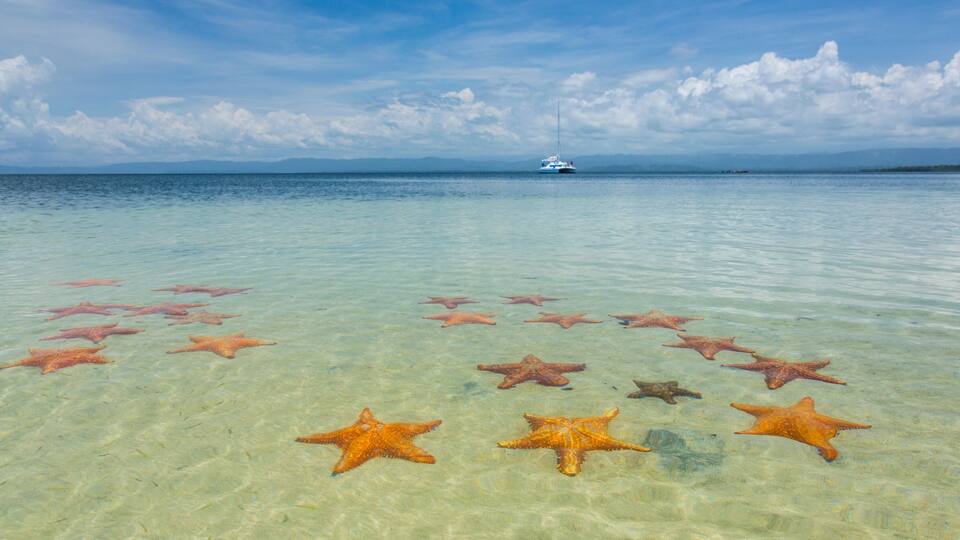 Starfish Beach, Colon Island, Bocas del Toro Archipelago, Bocas del Toro Province, Panama, Central America, America