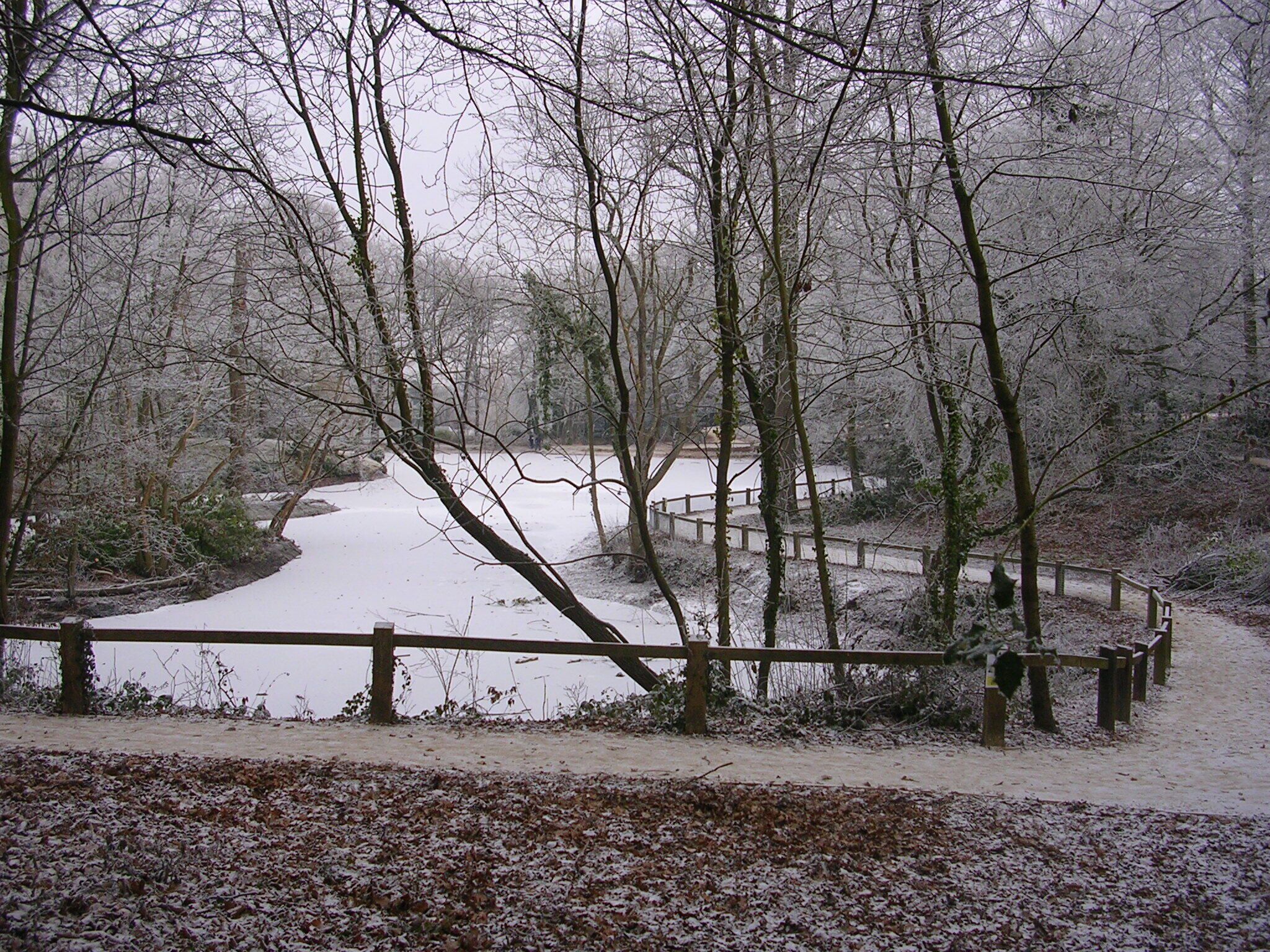 Pond at Goff's Park Crawley, West Sussex, England