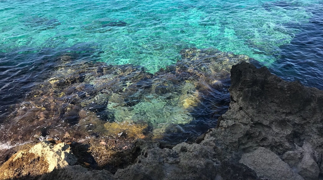 Crystal clear waters of Cozumel😍