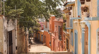 Colorful historic alley in mexican city of Oaxaca