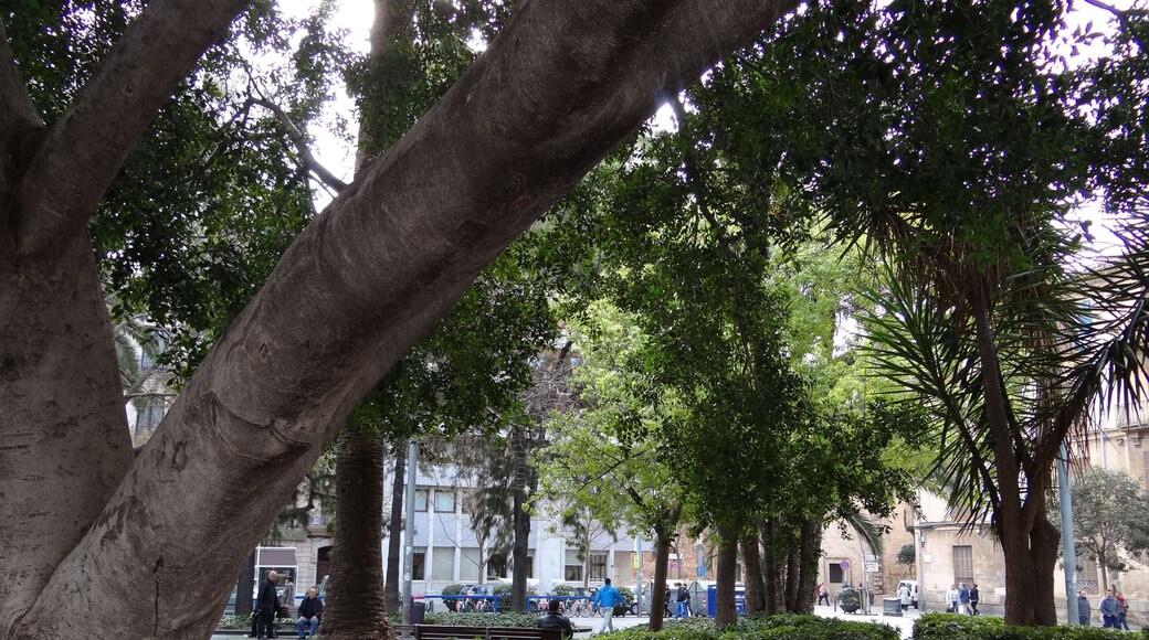 Mercat, Palma, Illes Balears, Spain