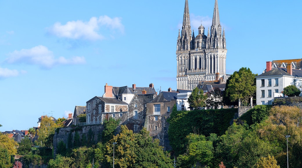 Angers Cathedral (Cathedrale Saint-Maurice d'Angers) and cityscape, Maine-et-Loire, Pays de la Loire, France