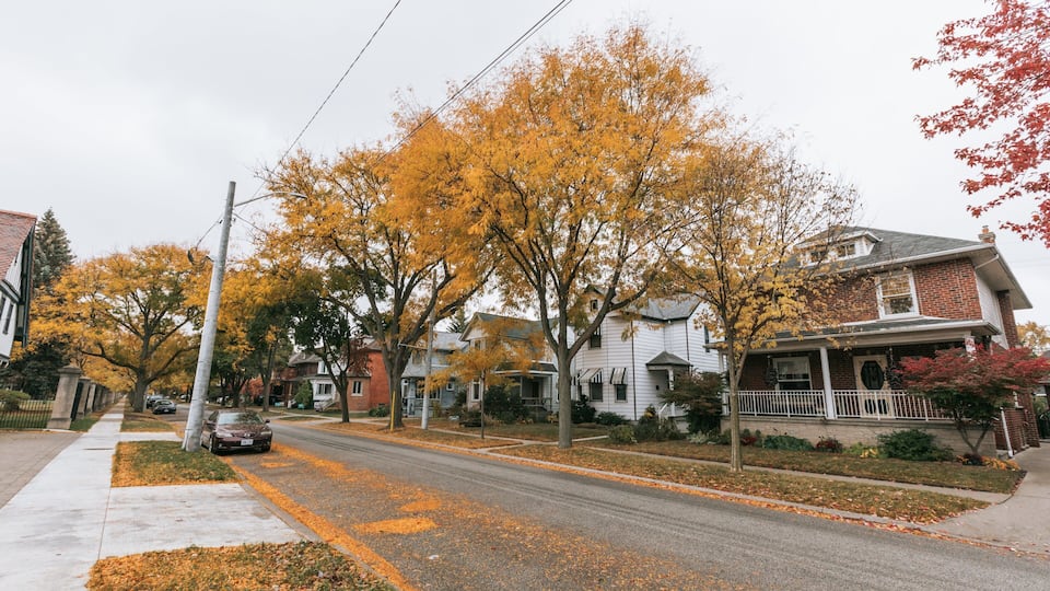 A residential street lined with autumn-colored trees and houses.
