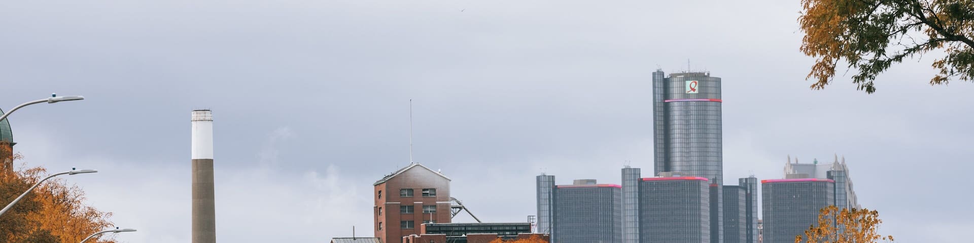Walkerville showing autumn leaves and a city
