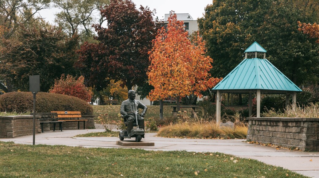Walkerville showing a park, fall colors and a statue or sculpture