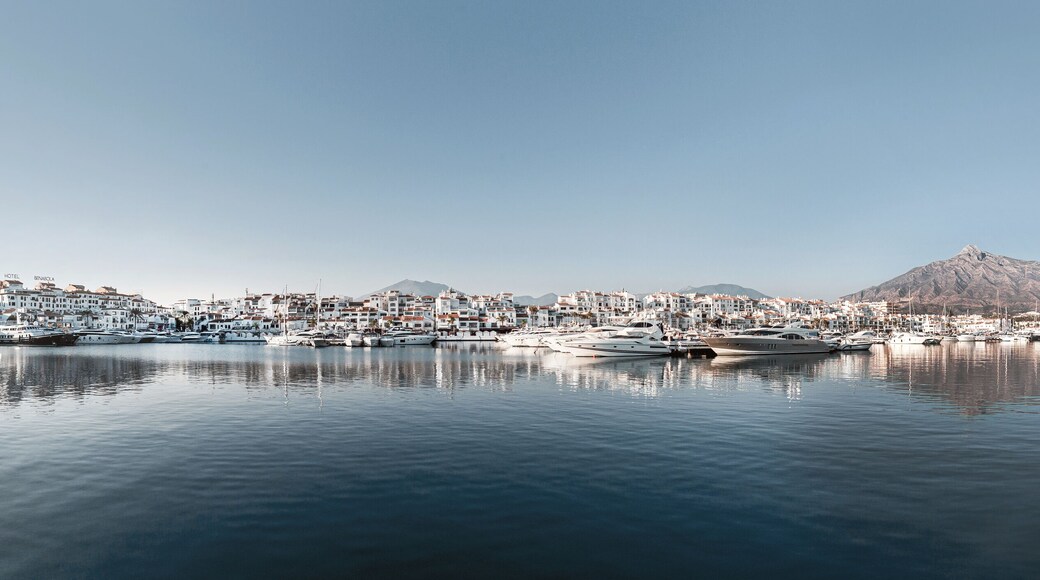 อูร์บานิซาซิออน ปิโนส เบร์เดส