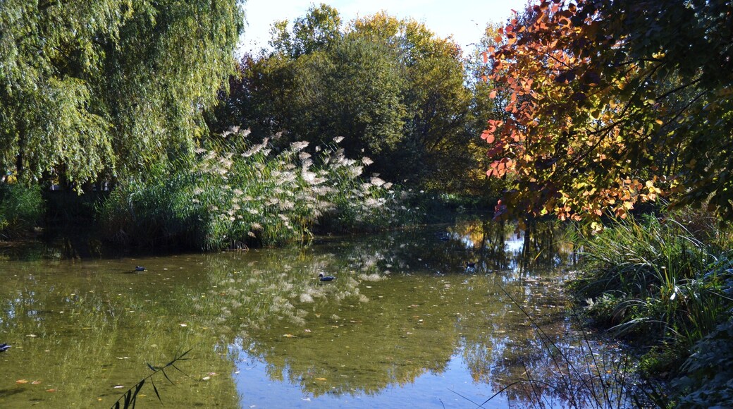 ValĂšncia, llacuna del parc de Marxalenes.