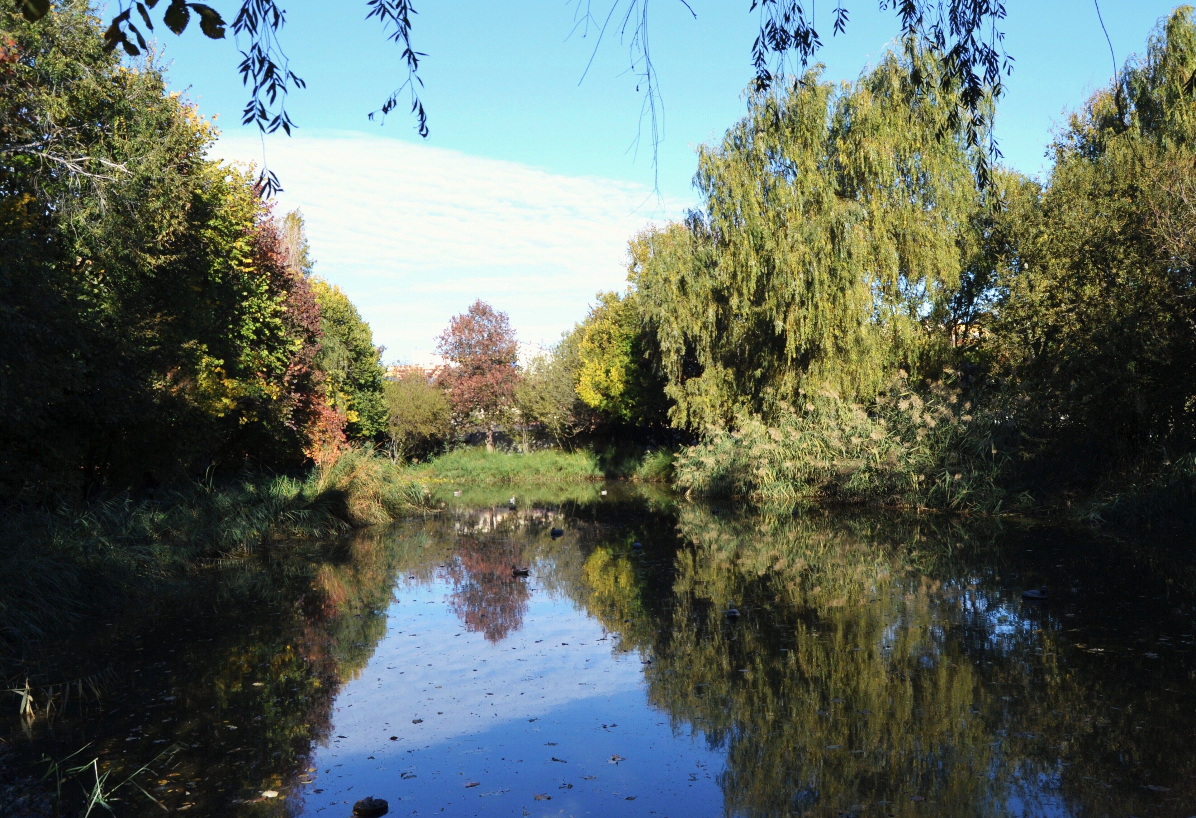 Llacuna del Parc de Marxalenes, València.