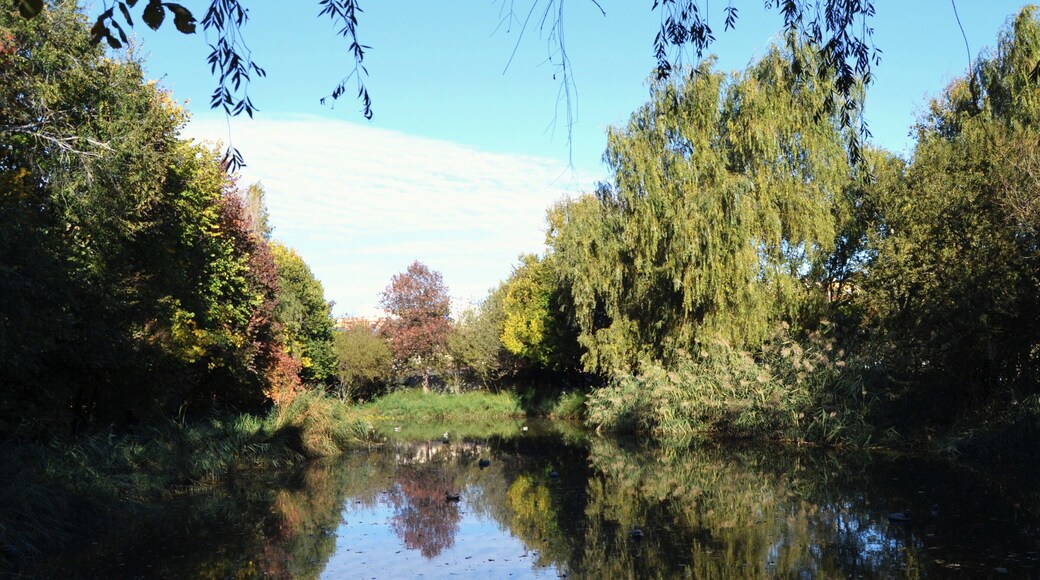 Llacuna del Parc de Marxalenes, València.