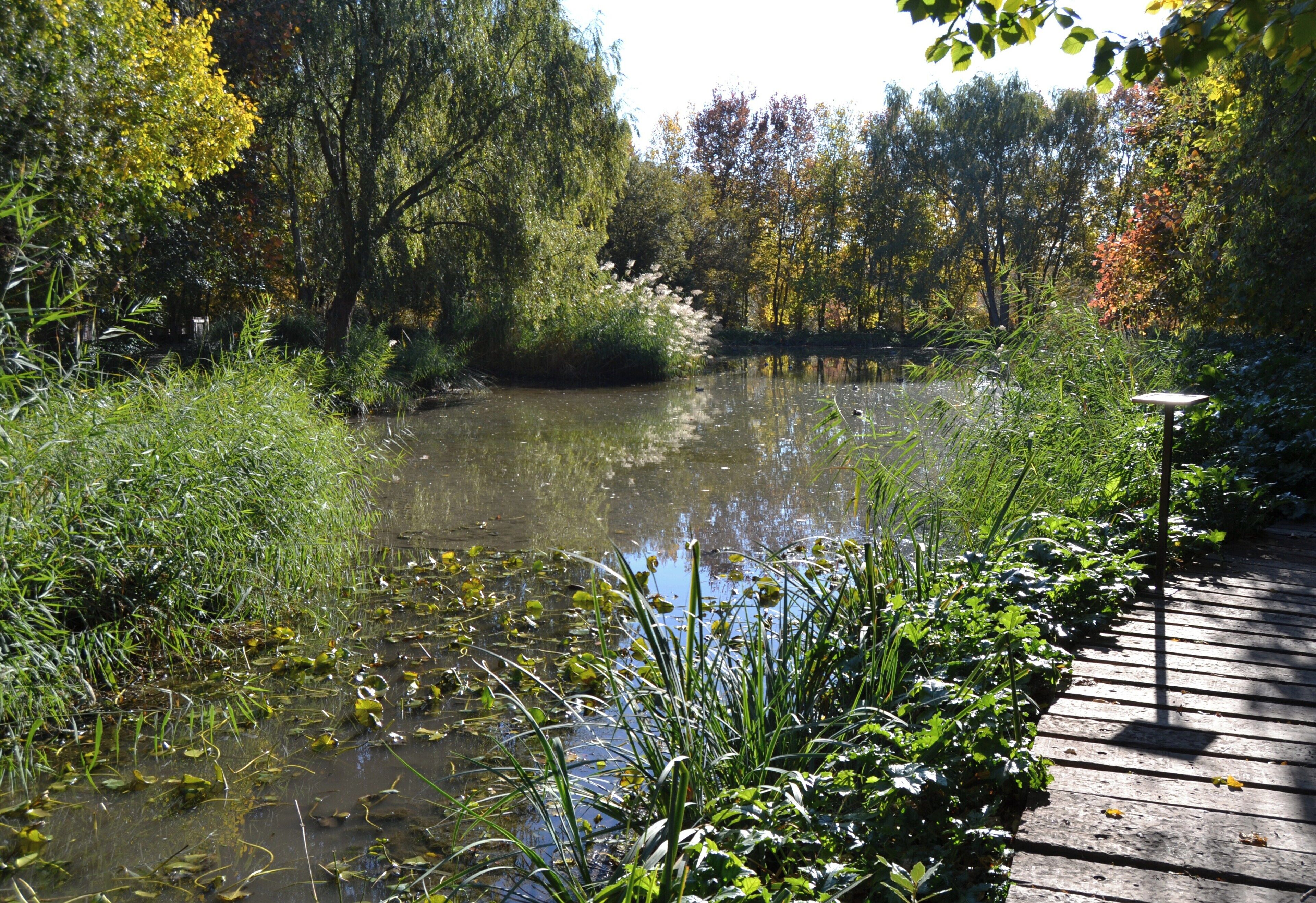 La llacuna del parc de Marxalenes.