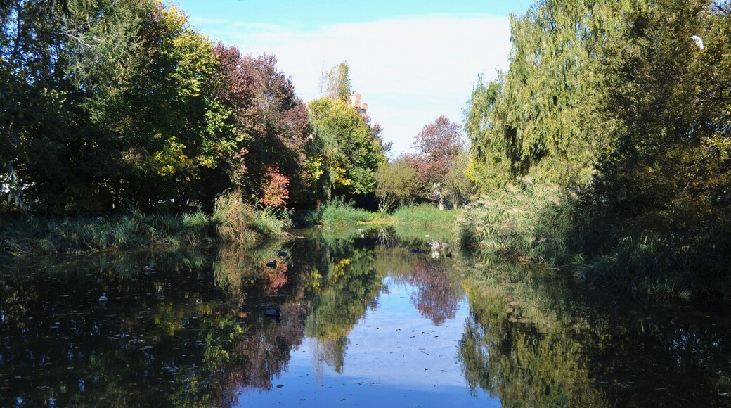 Llacuna del Parc de Marxalenes de València.