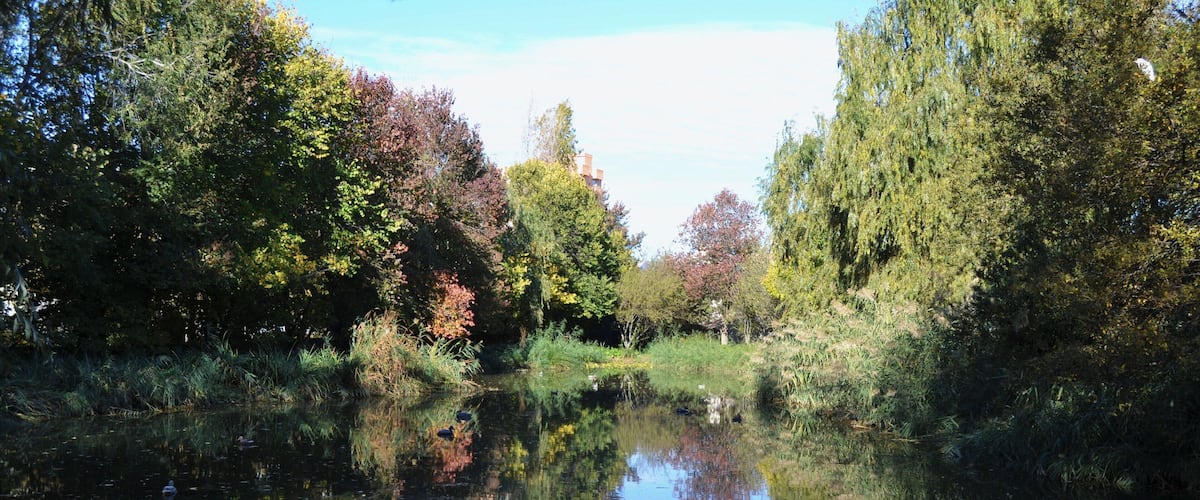 Llacuna del Parc de Marxalenes de València.