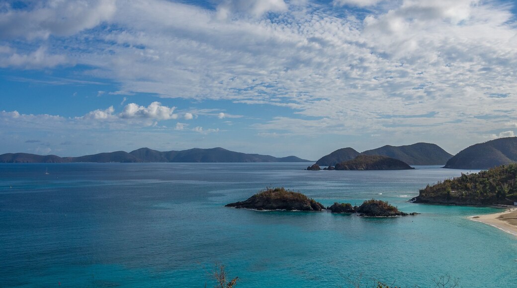 View of Trunk Bay, the landmark beach of St. John