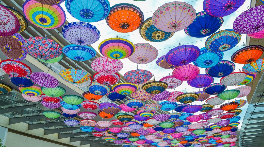 Colorful umbrelas of Polanco at Mexico City