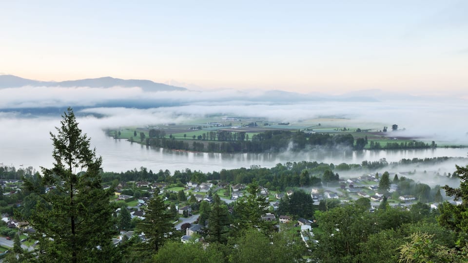Fraser Valley at foggy sunrise