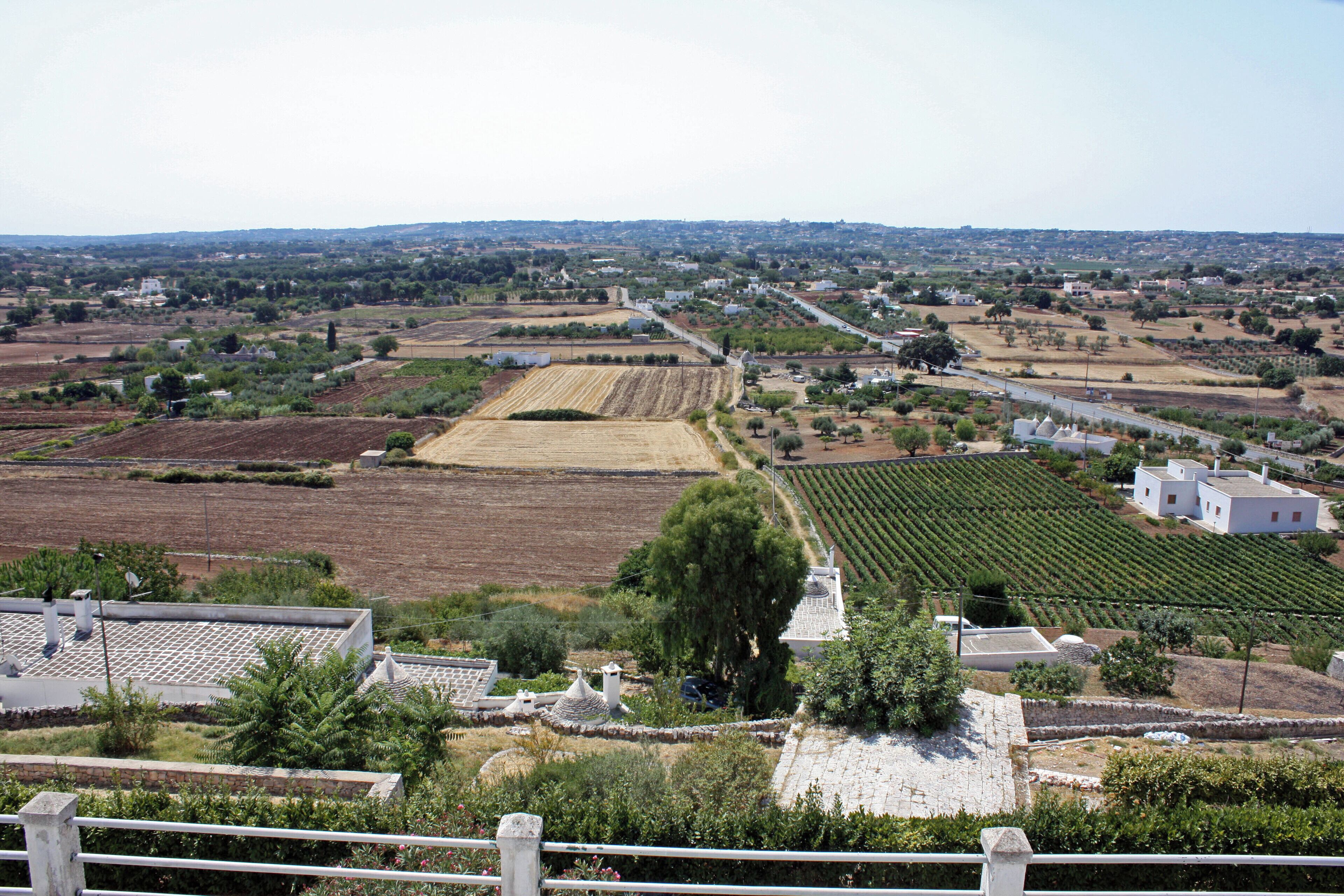 Campagna di Locorotondo
