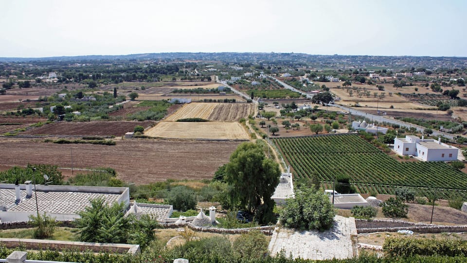 Campagna di Locorotondo