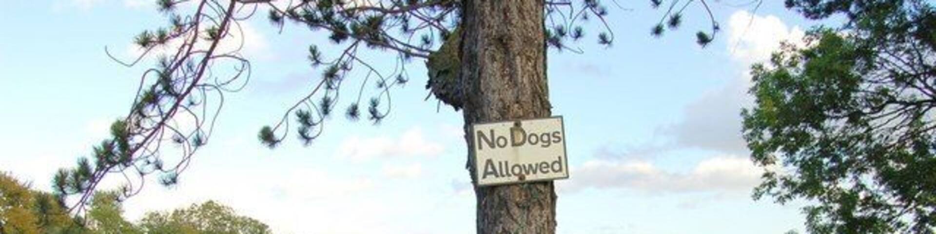 Pitreavie Playing Fields Run by the local council these playing fields are on the south side of Dunfermline,the white building, which is in the next square, is the pavilion.