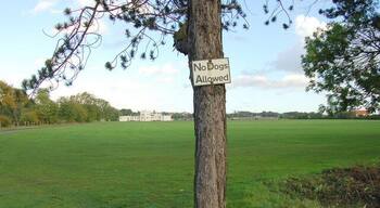 Pitreavie Playing Fields Run by the local council these playing fields are on the south side of Dunfermline,the white building, which is in the next square, is the pavilion.